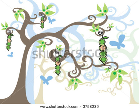Magic Tree Baby Boy In A Pod  Vector    Illustrated Art   Stock Vector