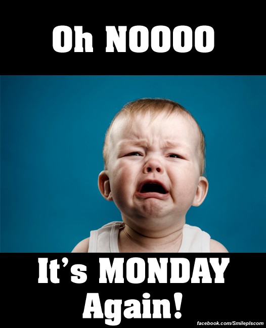 Oh Nooooo  It S Monday Again     Randumbuzz Com