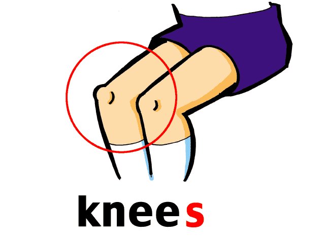 And Yes I Meant To Have Double Knees And Toes
