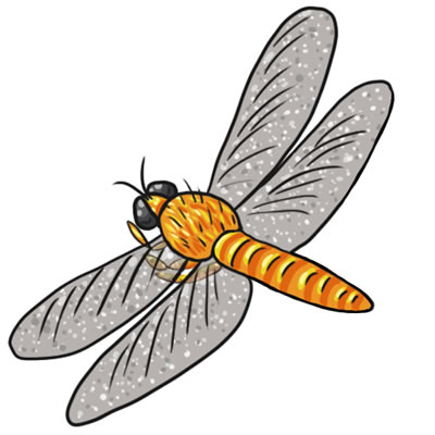 Dragonfly Clipart Black And White   Clipart Panda   Free Clipart
