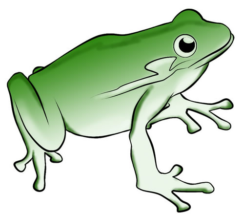 Free Frog Clip Art To Download  Frog 15  2
