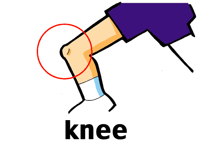 Knee Replacement Cartoon Memes