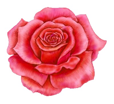 Red Rose Clip Art Tattoo Design   Just Free Image Download