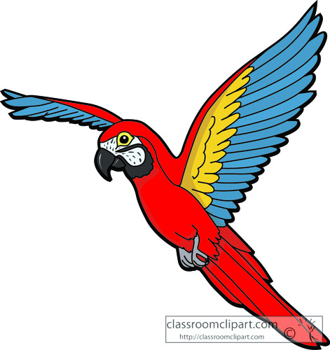 Bird Clipart   Crca Parrot   Classroom Clipart