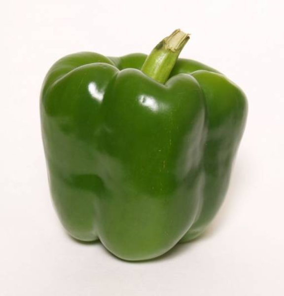 Green Pepper   Free Images At Clker Com   Vector Clip Art Online