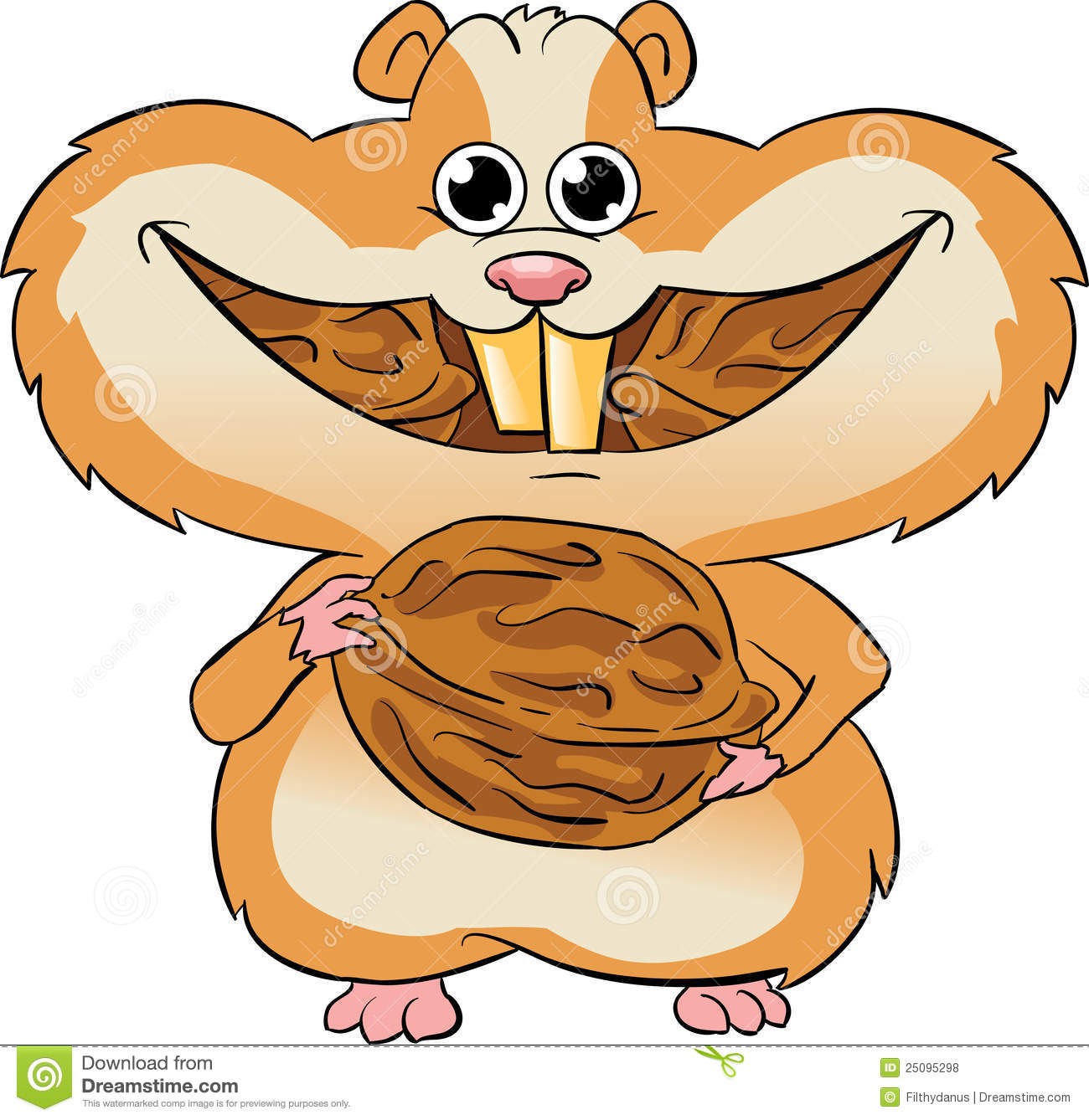 Hamster Eating Walnuts Royalty Free Stock Photos   Image  25095298