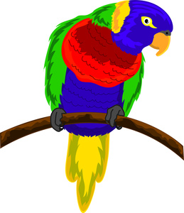 Parakeet Clipart Image   Colorful Parakeet Or Parrot On A Tree Branch