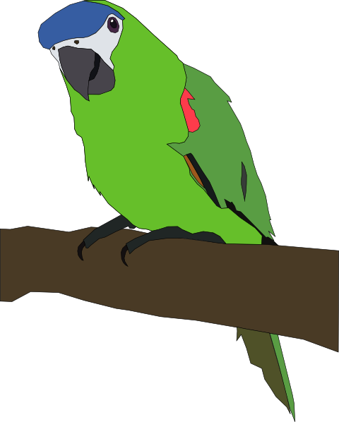 Parrot Clip Art At Clker Com   Vector Clip Art Online Royalty Free