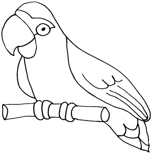 Parrot Clipart Royalty Free