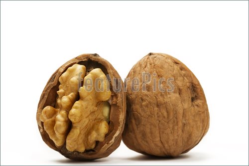 Picture Of Walnut And A Cracked Walnut On White Background
