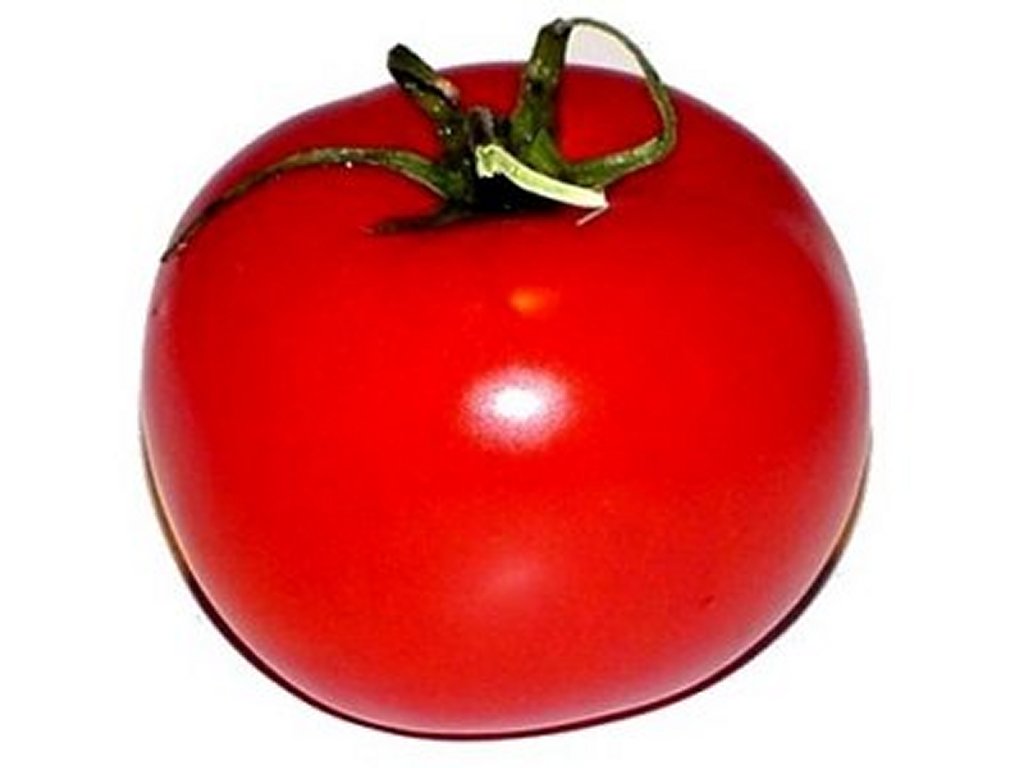 Tomato   Clipart
