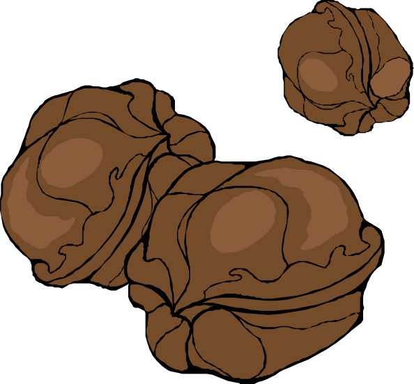 Walnuts Clip Art At Clker Com   Vector Clip Art Online Royalty Free