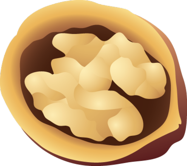 Walnuts Clipart Images   Pictures   Becuo