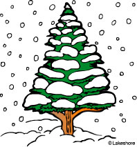 Winter Tree Clipart Images   Pictures   Becuo