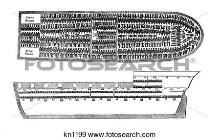 1800s Drawing Of Decks Of A Slave Ship Showing The Bodies Of Slaves