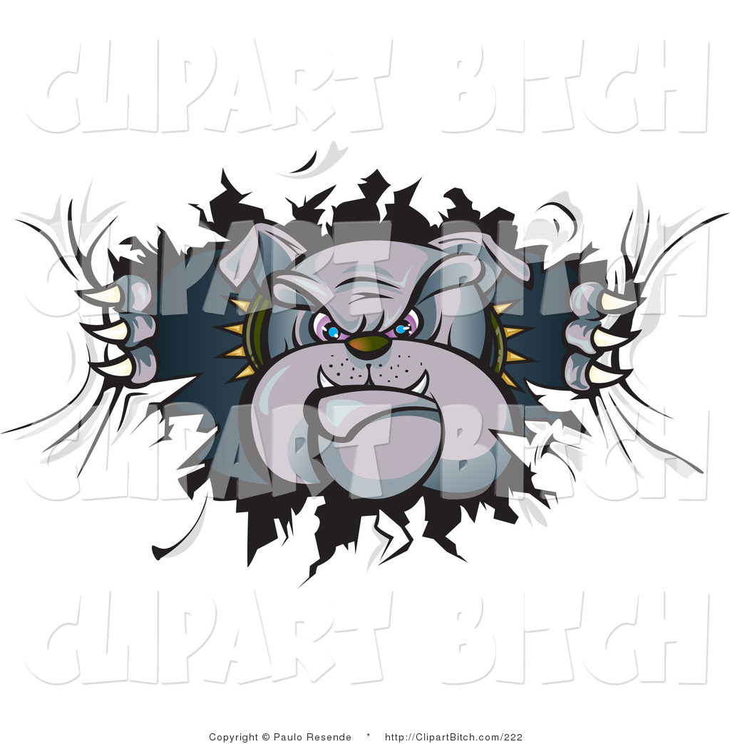 Art Of A Tough Gray Bulldog In A Spiked Collar Tearing A Hole Through    