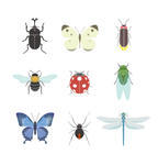 Beebeetlebugbutterflycaterpillarcicadadamselflydragonfly