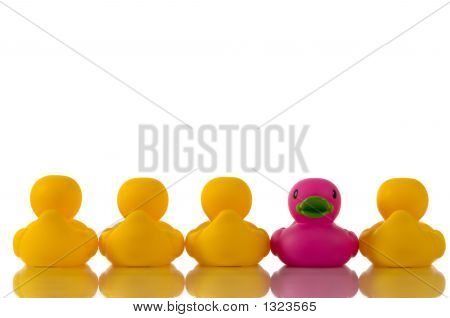 Pink Purple Rubber Duck With Yellow Ducks Stock Photo   Stock Images    