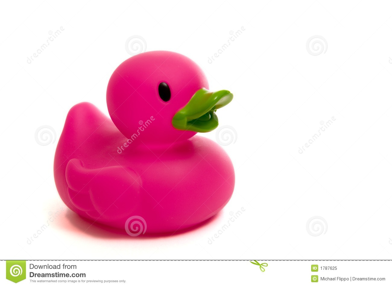 Purple Pink Rubber Duck On White Royalty Free Stock Photo   Image    