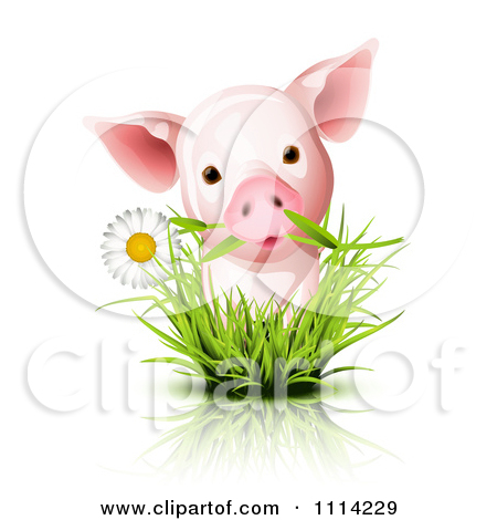 Clipart Cute Piglet With A Daisy In Grass   Royalty Free Vector