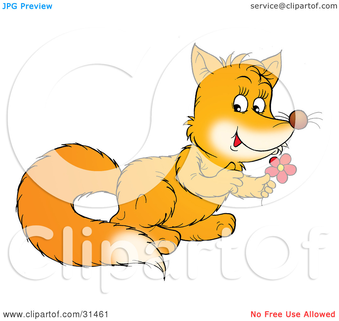 Clipart Illustration Of A Cute Fox Kit Holding A Red Daisy Flower By