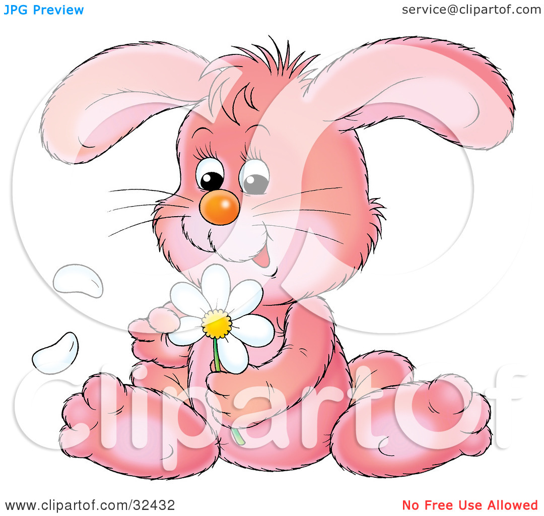 Clipart Illustration Of A Cute Pink Bunny Rabbit Sitting And Picking