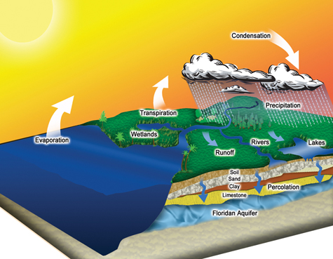 Clipart Rock Cycle Rock