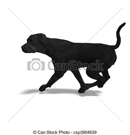 Illustration   Labrador Retriever Dog  3d Rendering With And Shadow