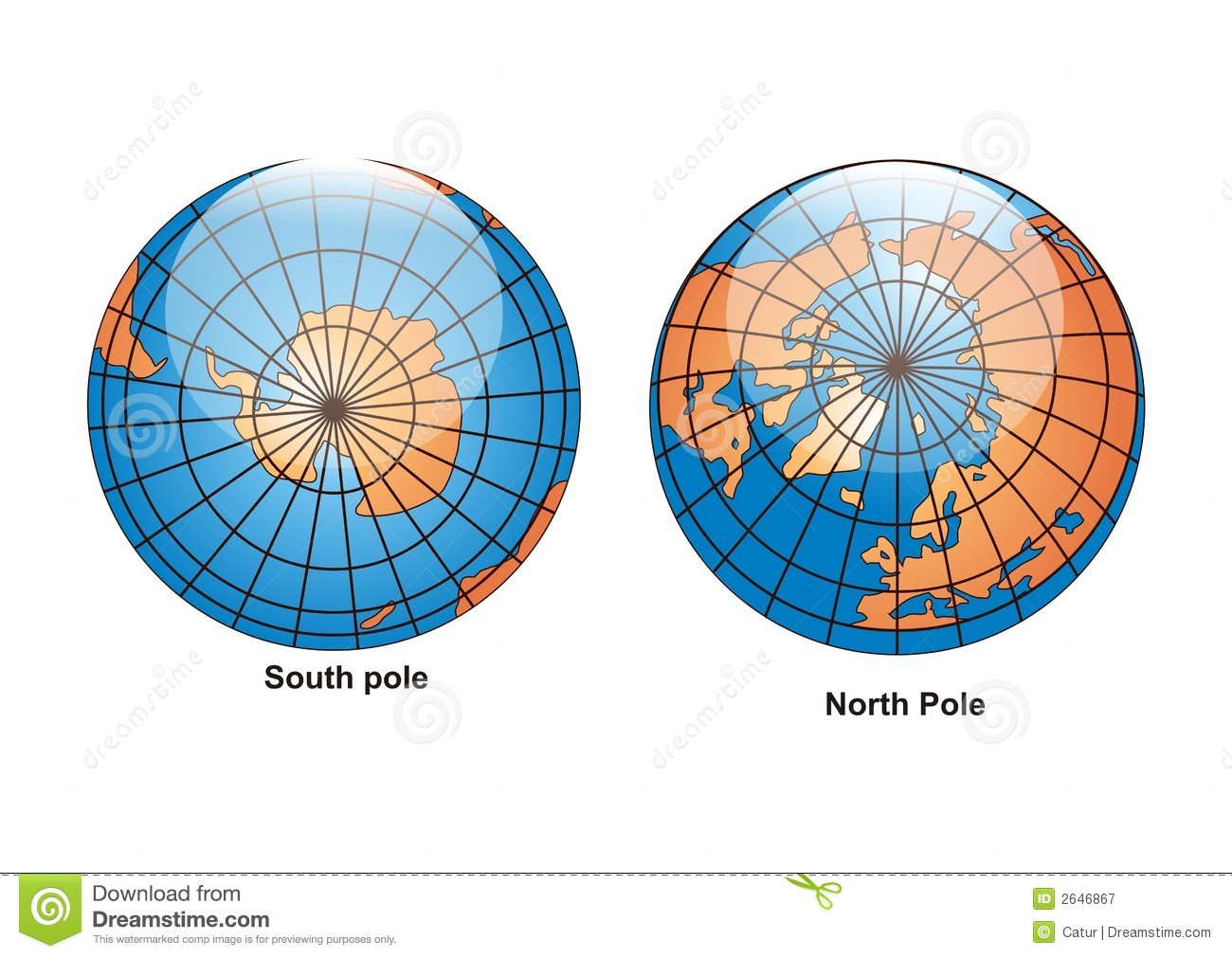 North And South Pole South North Pole Globe Vector