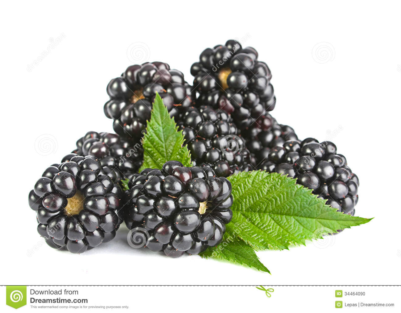 Blackberry Fruit Clipart Blackberry Fruit Stock Photo