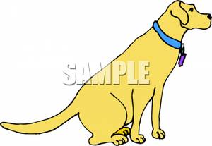 Cartoon Yellow Lab   Royalty Free Clipart Picture