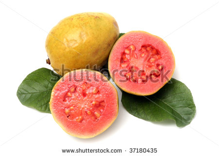 Clipart Guava