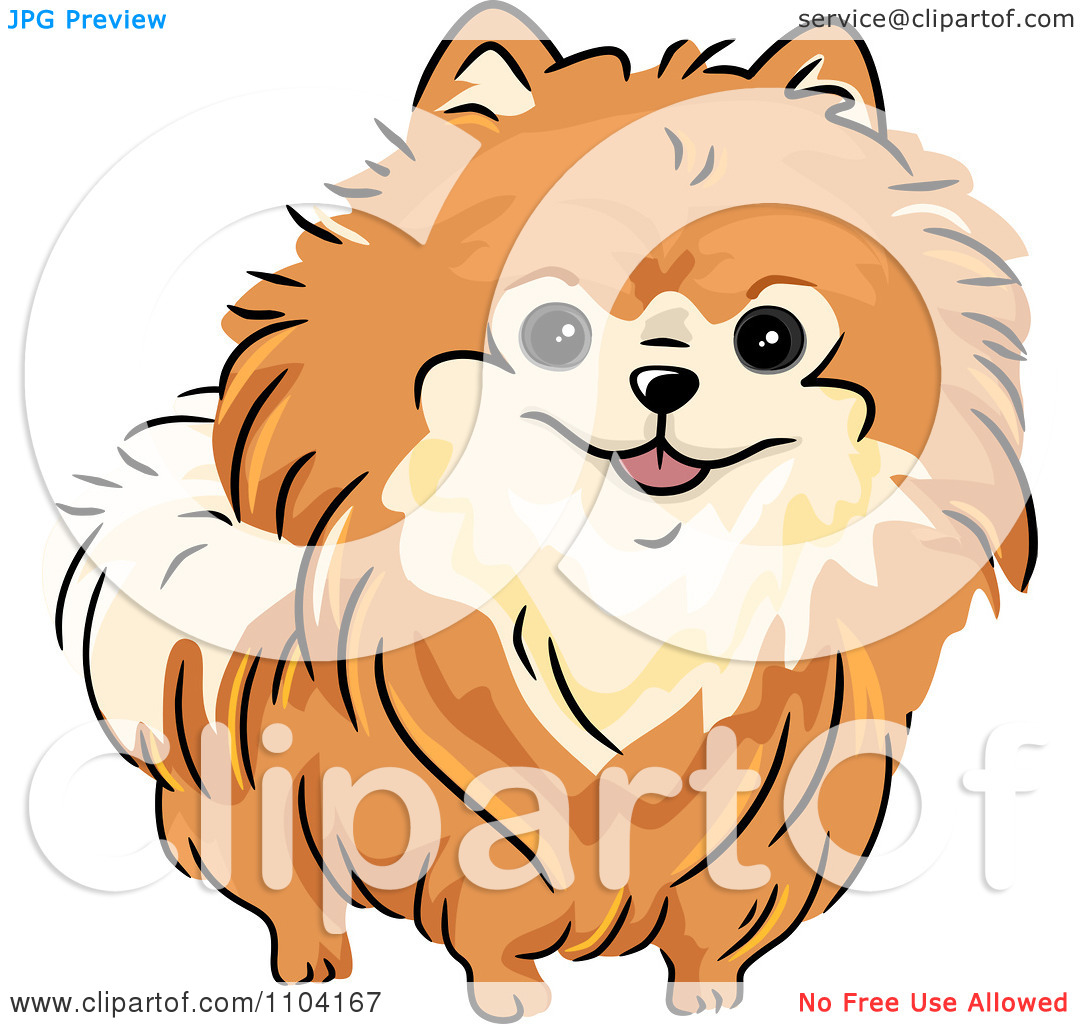 Clipart Happy Orange Pomeranian Dog   Royalty Free Vector Illustration