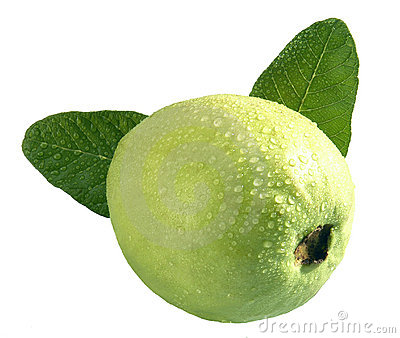 Guava Fruit Royalty Free Stock Image   Image  11861076