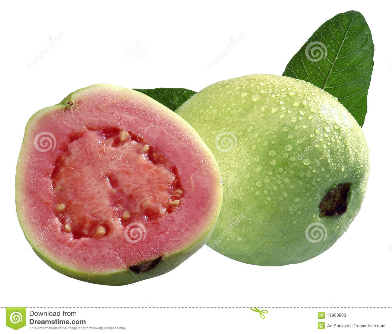 Guava Fruit Stock Photos   Image  11860883
