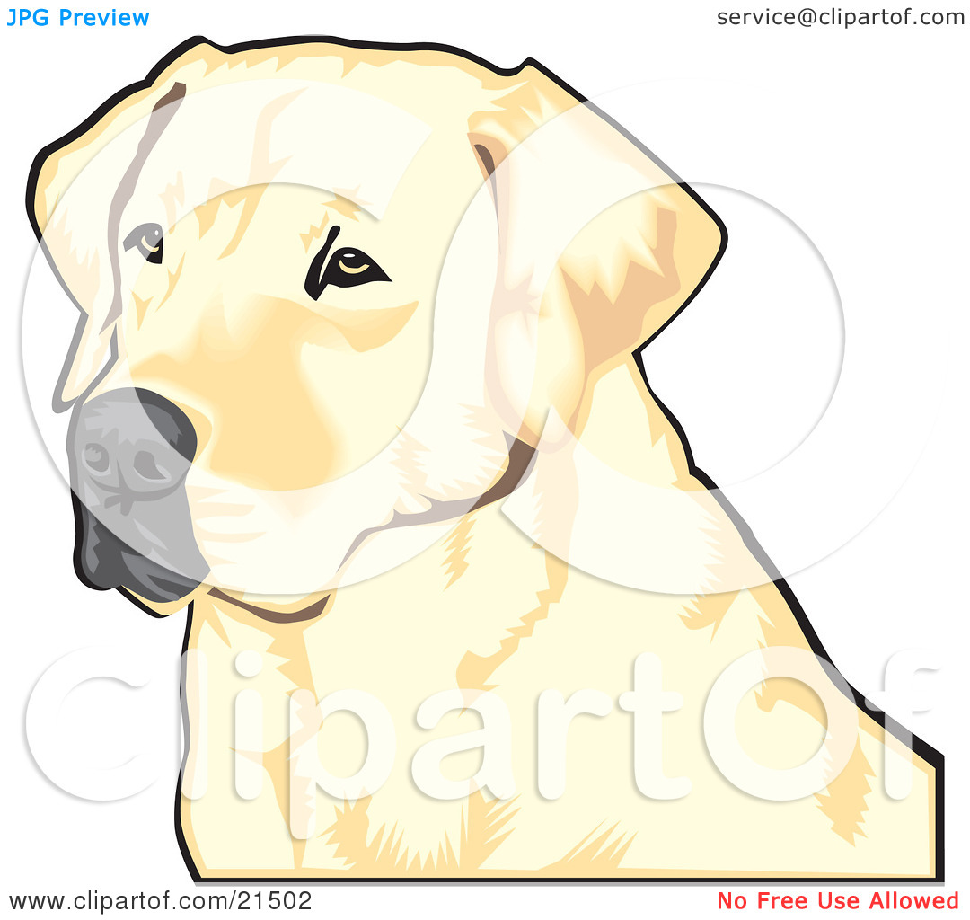 Labrador Nose Silhouette Dogs Wall Art Stickers Decal Transfers