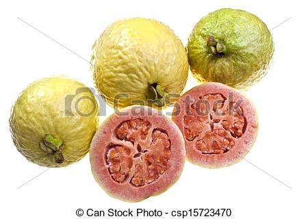Picture Of Pink Guava Fruit   Fresh Pink Flesh Guava Fruit Isolated On
