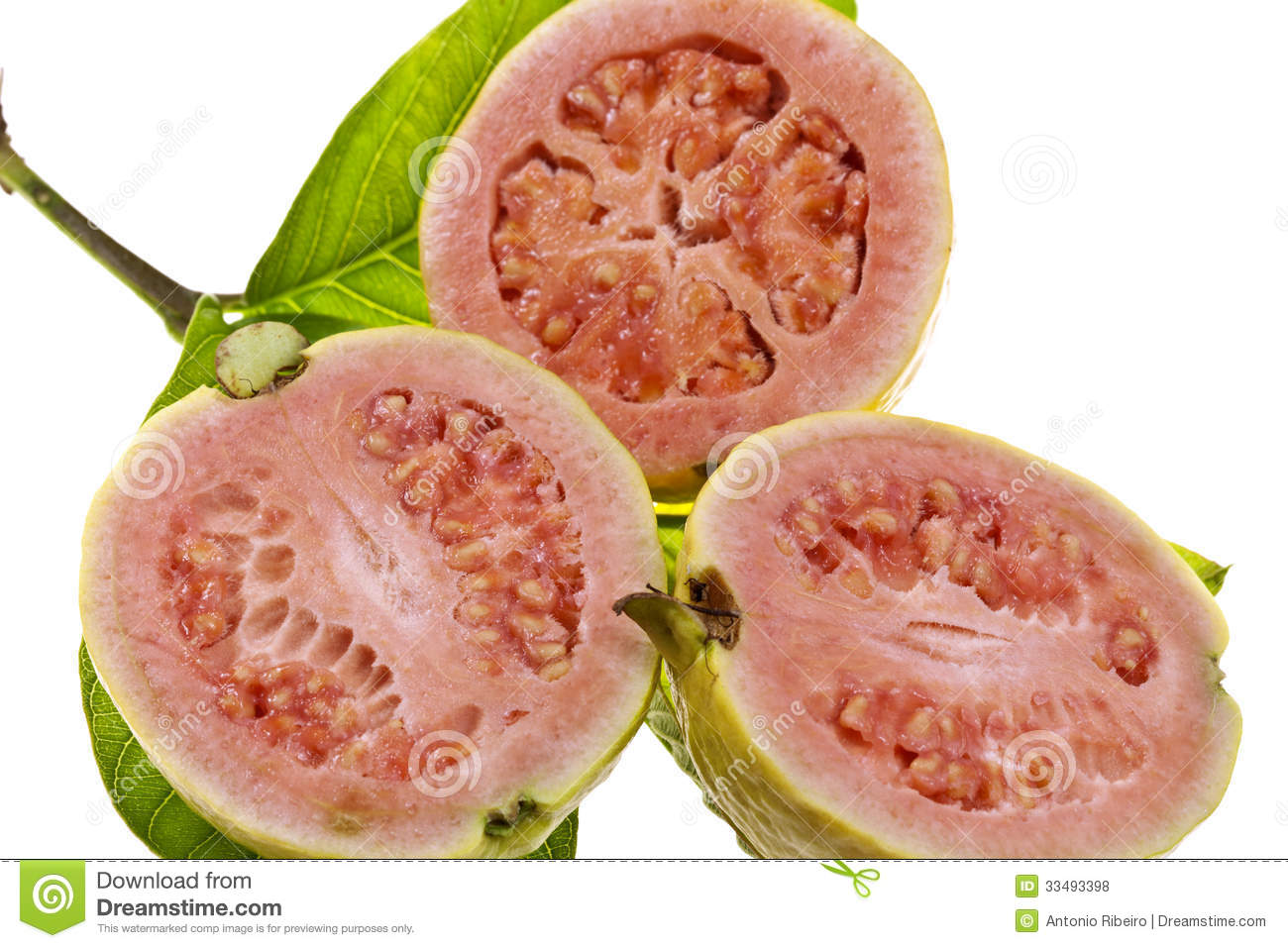 Pink Guava Fruit Royalty Free Stock Photos   Image  33493398