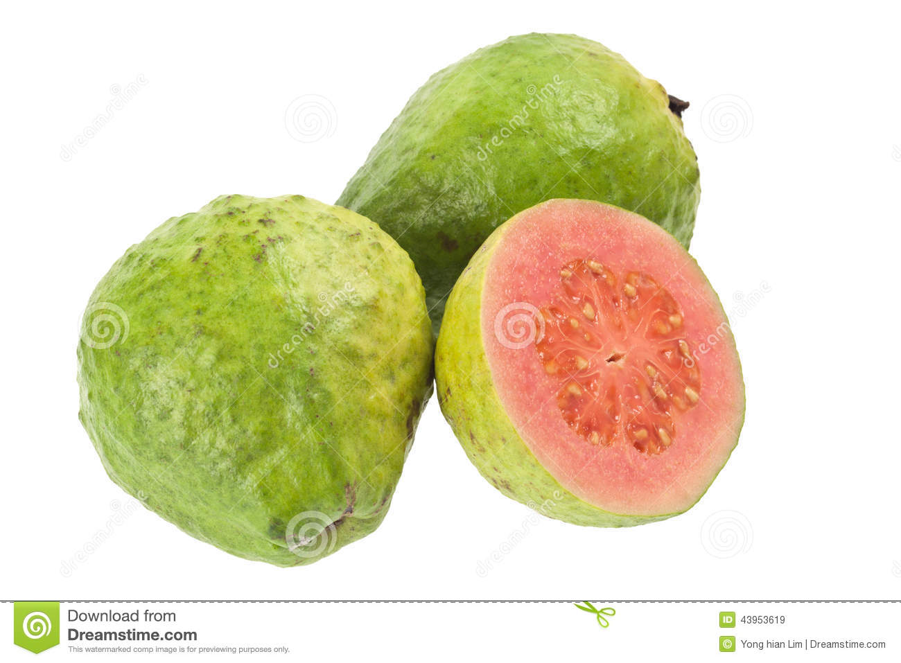 Pink Guava Fruit Stock Photo   Image  43953619