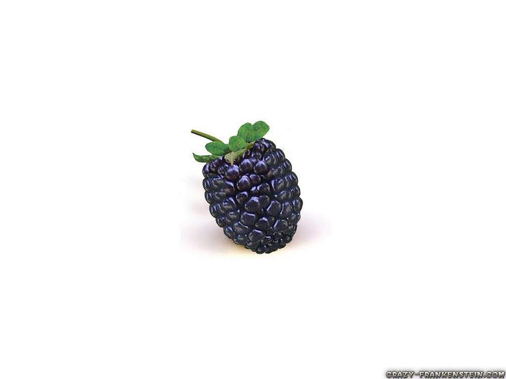 Wallpaper  Blackberry   Fruit Clipart