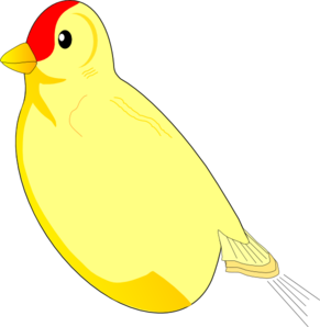 Bird Without Wings Clip Art At Clker Com   Vector Clip Art Online