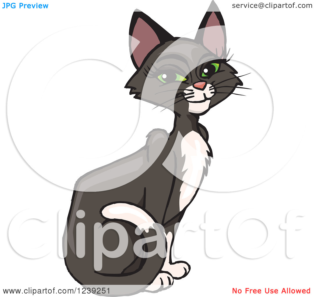 Clipart Of A Happy Female Tuxedo Cat Sitting   Royalty Free Vector