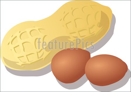 Illustration Of Peanut Illustration Whole In Shell And Kernels
