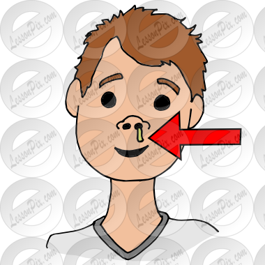 Nose Picture For Classroom   Therapy Use   Great Runny Nose Clipart