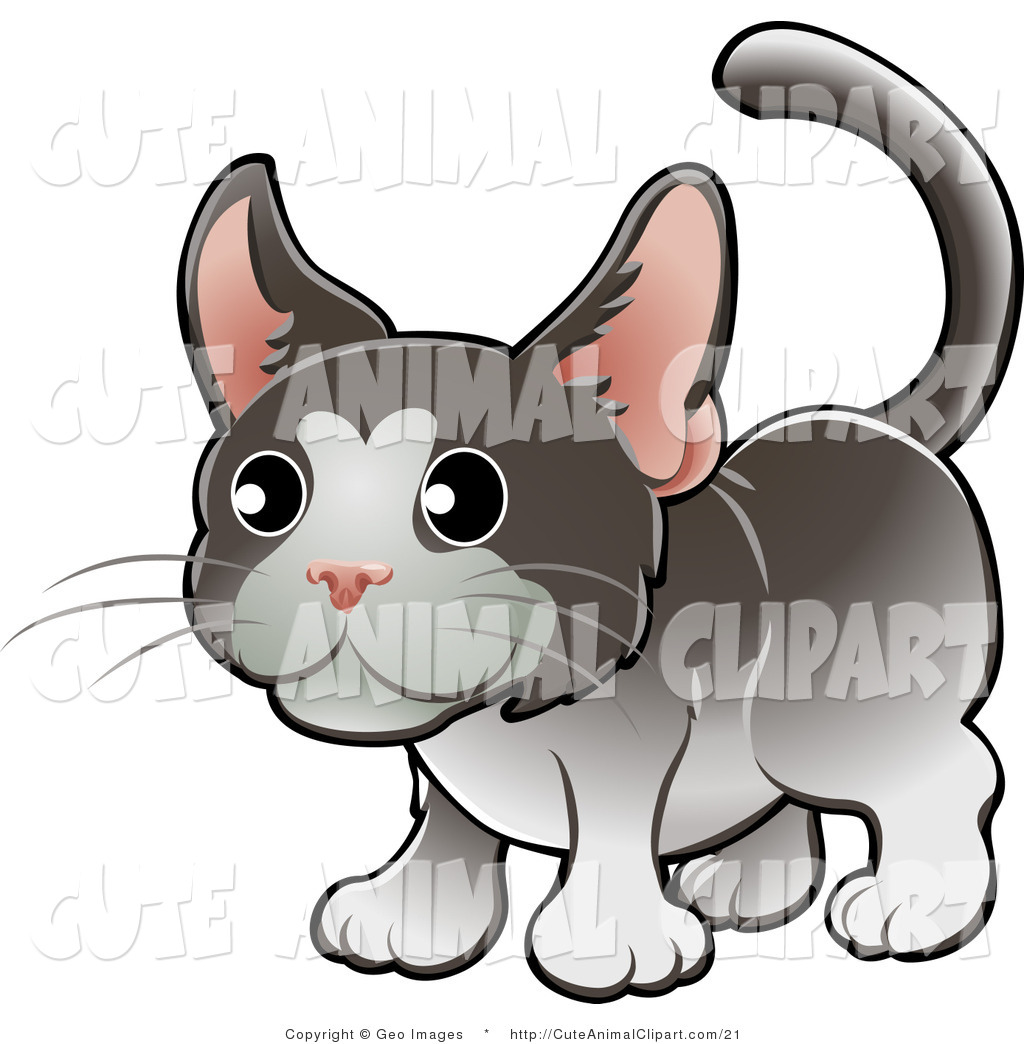 Tuxedo Cat Clipart Art Of A Cute Tuxedo Cat
