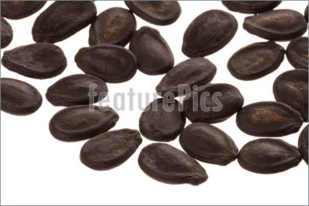 Watermelon Seeds Picture  Stock Picture At Featurepics Com