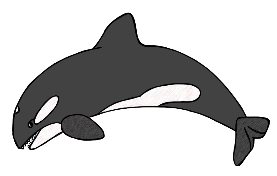 Almost Forgot A Freebie  Here S My Orca Whale I Did Last Night
