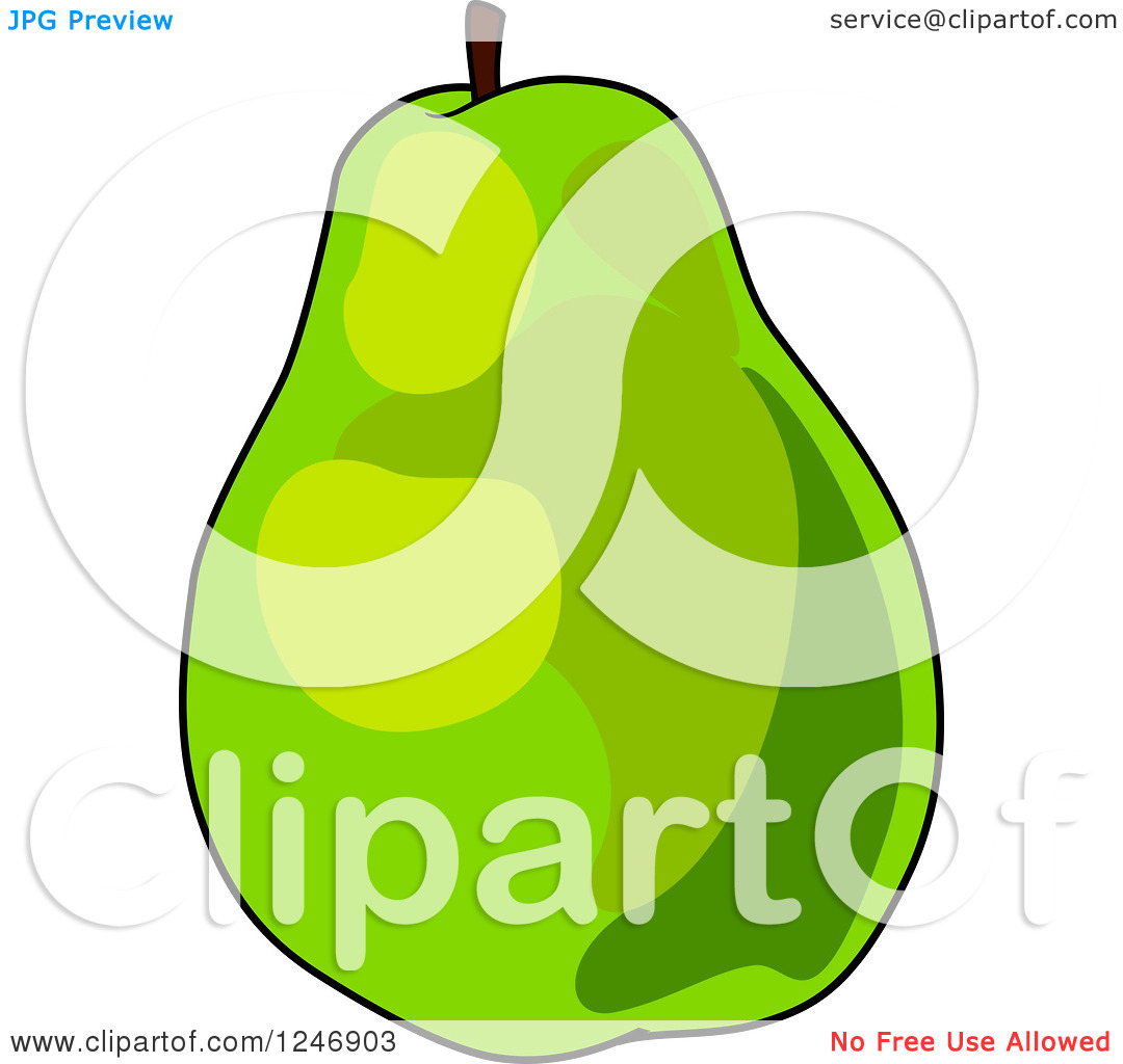 Clipart Of A Green Pear   Royalty Free Vector Illustration By