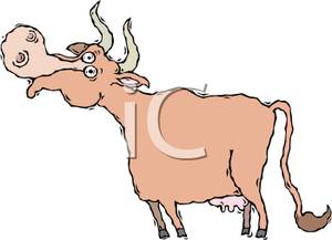 Cow Mooing   Royalty Free Clipart Picture
