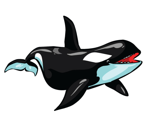 Free Orca Clipart  Next    Clipart Panda   Free Clipart Images